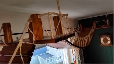 Diy Cat Rope Bridge A Great Way To Make Your Cats Relax Your
