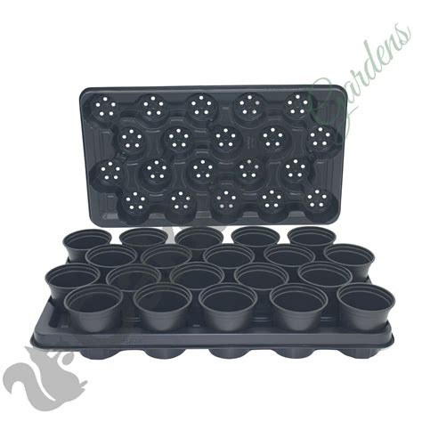 Plant Pots With Carry Trays