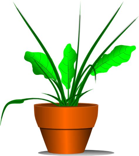 Houseplant Clip Art No Plants Cliparts Png Download Free Transparent Plant Png