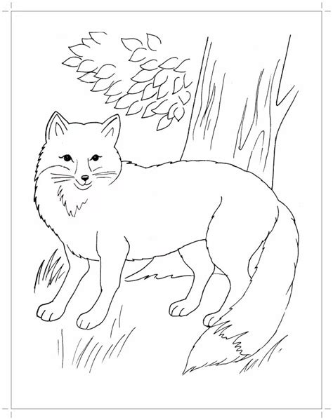 Mit der fuchs sitzend malvorlage aus der kategorie comics können sie nichts falsch machen! Malvorlage Fuchs - Ausmalbilder Fuchse Malvorlagen ...