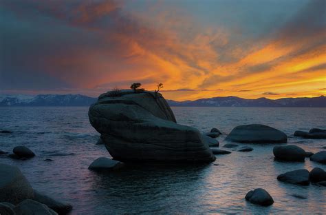 Bonsai Rock In Lake Tahoe Photograph By Adonis Villanueva Fine Art