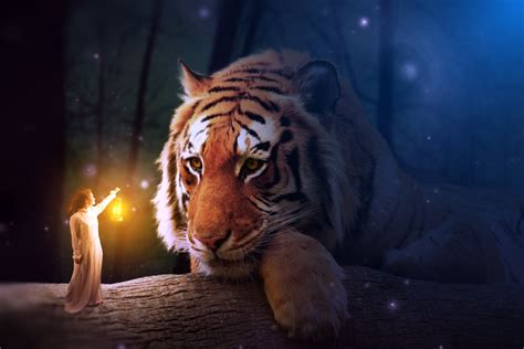 Photomanipulation Small Girl And Big Tiger By Goldow On Deviantart
