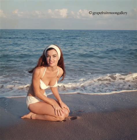 Bunny Yeager S Camera Color Transparency Bikini Beauty Mickey O