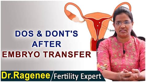 Dos And Donts After Ivf Embryo Transfer Precautions After Embryo