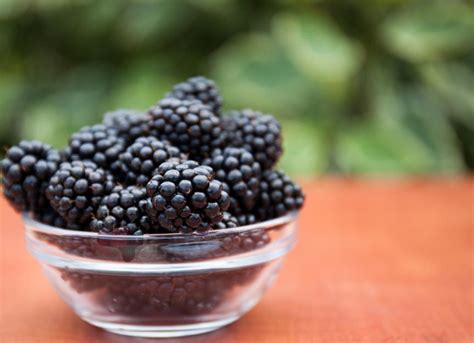 Can Dogs Eat Blackberries Petmd