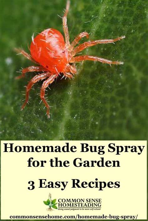 Homemade Bug Spray For The Garden 3 Easy Recipes