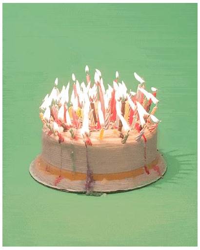 Giphy Birthday Cake Happy Gifs