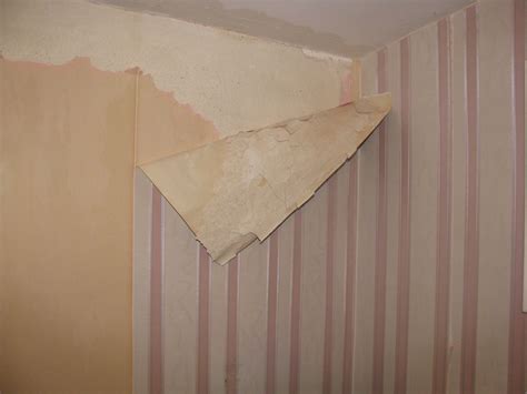 If your wallpaper is peeling, brush on seam adhesive to reattach it. wallpaper: Wallpaper Peeling Off Walls