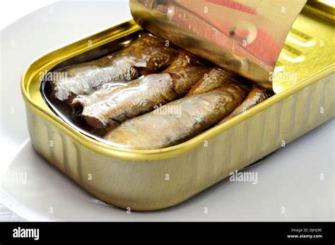 Tinned Sardines Hi Res Stock Photography And Images Alamy