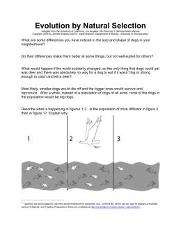 Natural selection, variation, and random mutations. studylib.net - Essys, homework help, flashcards, research papers, book report and other