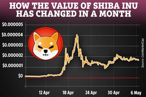 What Is Shiba Inu Coin Investors Warned About New Cryptocurrencies