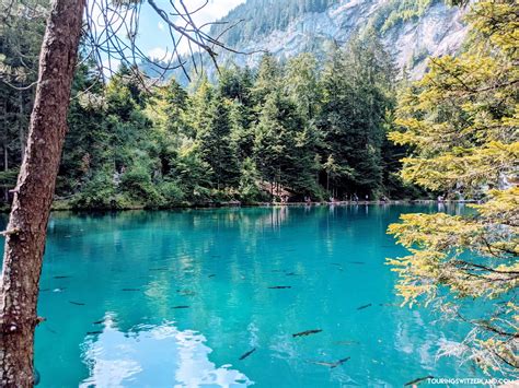 Blausee2 Touring Switzerland