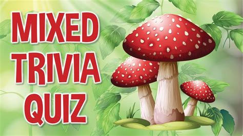 Mixed Trivia Quiz Looking For Fun General Knowledge Quizzes Youve