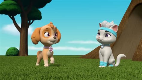 Cat Packpaw Patrol Rescue Skye And Rory Flip Ittrivia Paw Patrol