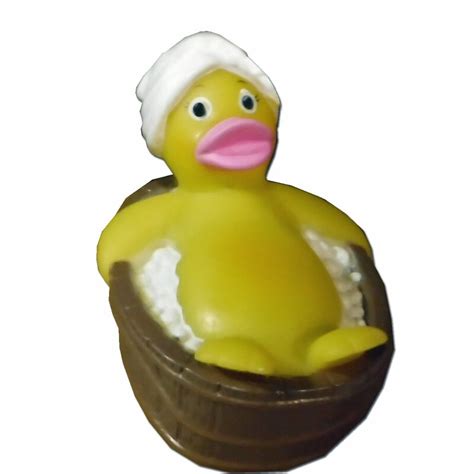 Smart Spa Hot Tub Floating Duck Toy And Reviews Wayfair