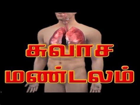 ஐந்து சின்ன விரல்கள் (parts of the body actions song) | tamil rhymes for children by chuchu tv. Body Parts Tamil / Pin on Edu Extra Key - The body and the ...