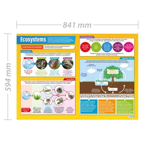 Ecosystems Geography Posters Laminated Gloss Paper Measuring 33” X