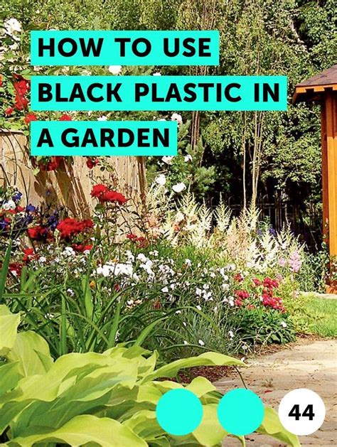 How To Use Black Plastic In A Garden The Most Dreaded Task In Planting