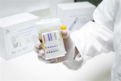 How Drug Testing Kits Work Andatech Australia