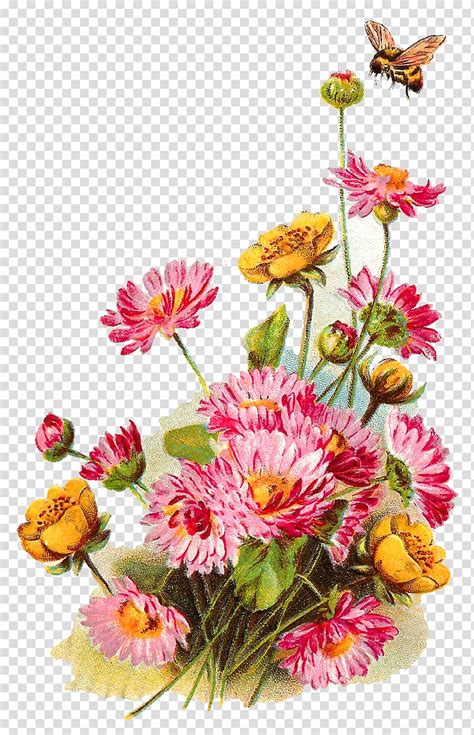 Wildflower Flower Background Transparent Background Png Clipart