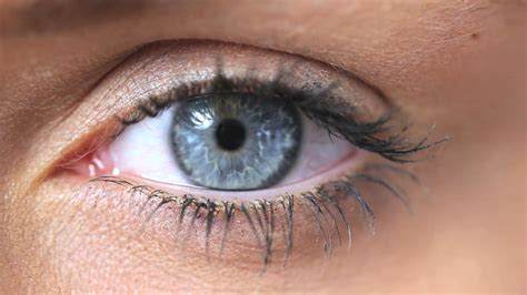 Braun Grün Oder Blau Das Sagt Die Augenfarbe über Dich Aus Rtlde