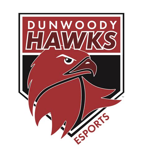 Meet The Hawks Dunwoodys First Mascot In 80 Years Dunwoody College