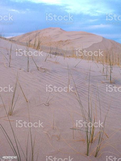 Small Patches Of Grass In Sand Dune Stock Photo Download Image Now