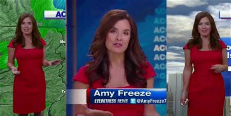 Hot Weather Girls Amy Freeze Weather Girl For WABC In New York City