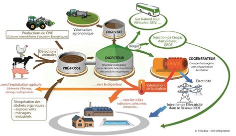 Le Biométhane Ou Biogaz Cest Quoi Définition Et Avantages De La