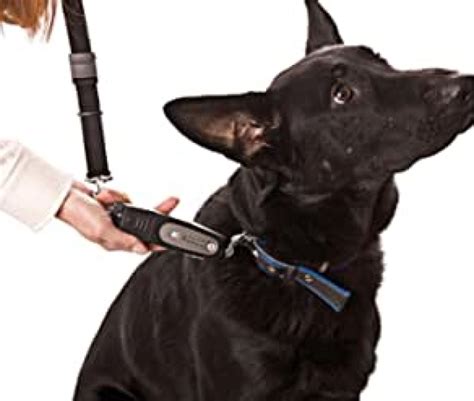 Tug Preventing Dog Trainer La Herramienta Para Pasear Con Tu Perro Sin