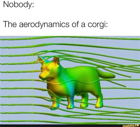 Nobody The Aerodynamics Of A Corgi