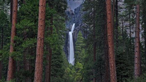 Download Yosemite National Park Green Tree Forest Nature Waterfall Hd