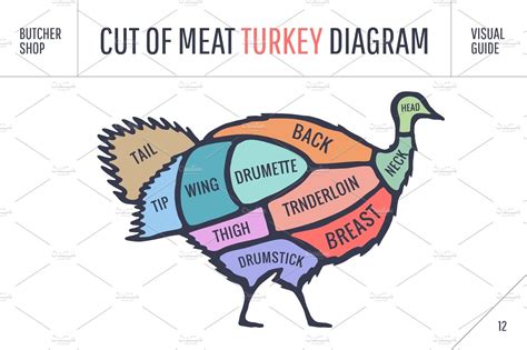 Cut Of Meat Set Poster Butcher Diagram Scheme Turkey