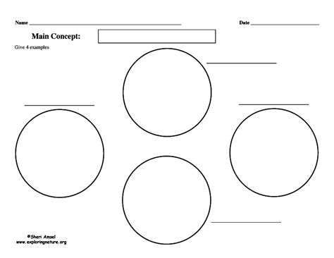 Generic Graphic Organizer One Concept With Four Example Circles