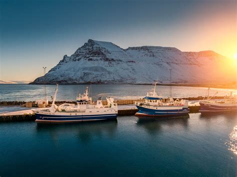 Government Of Iceland Icelandic Seafood Products Technology