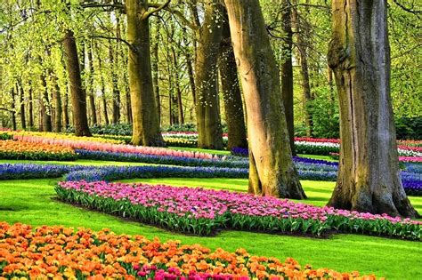 Keukenhof Garden Of Europe Netherlands One Of The Worlds Largest