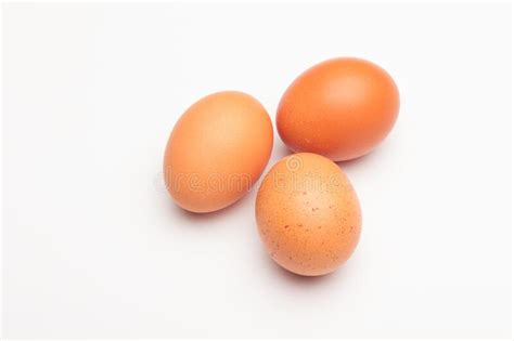 Chicken Eggs Raw Eggs Freshly Picked From The Farm Stock Image Image