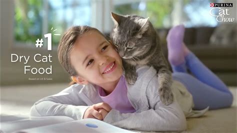 Purina Cat Chow 50 Years Tv Us Commercial Youtube