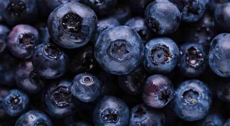 Blue Foods In Nature
