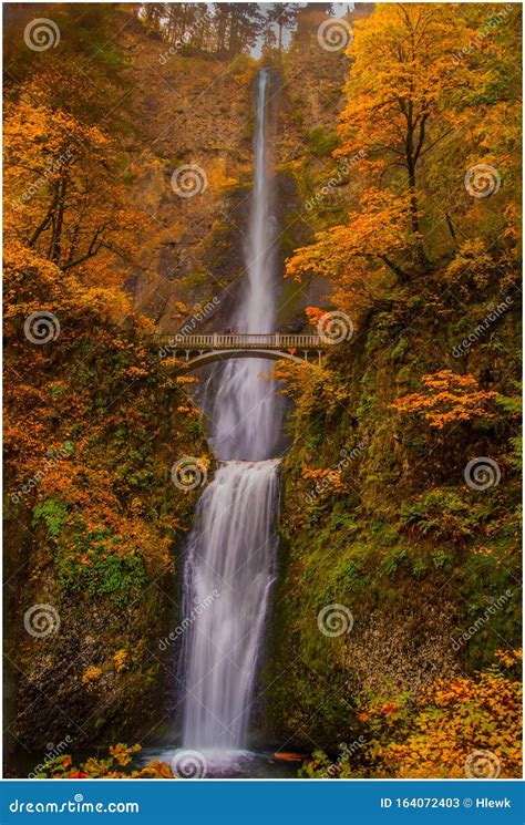 Multnomah Falls Stock Image Image Of Falls Fall Bridge 164072403