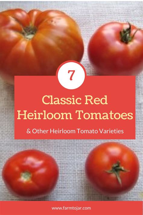 Heirloom Tomato Varieties List And History