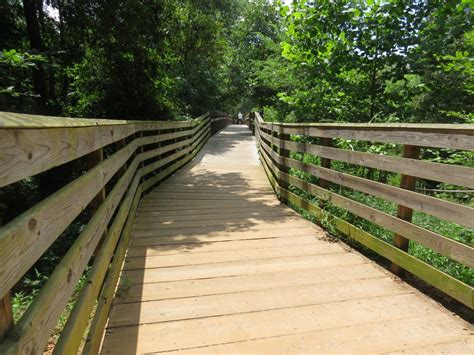Lake Conestee Park Nature Preserve Welcomes Hikers And Birders