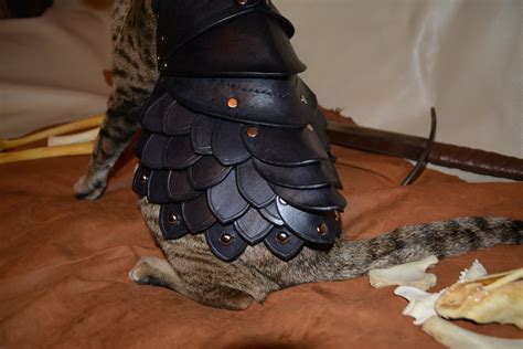 Cat Battle Armor Made From Leather Ohgizmo