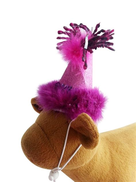 Dog Party Hat Pink Snooty Pets Part 1