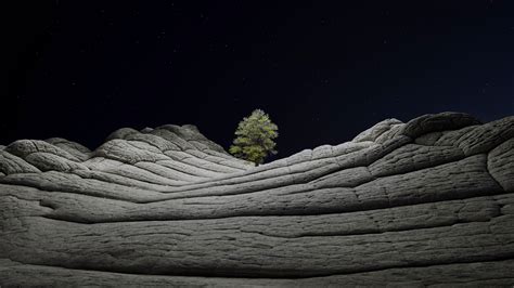 Wallpaper Ios 142 Desert Tree Night 4k Os 23214