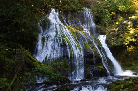 Panther Creek Falls Hike Hiking In Portland Oregon And Washington
