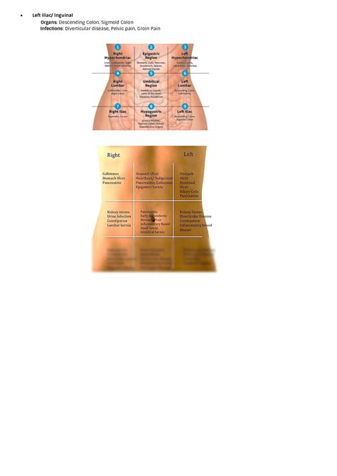 Solution Language Of Anatomy Anatomical Position Directional Terms