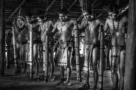 Xingu Foto E Immagini Stock Istock