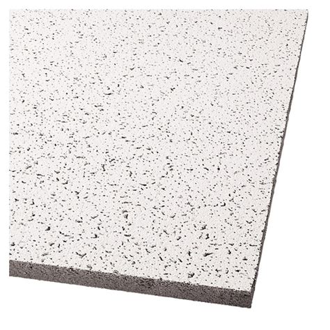 Armstrong 24 X 48 White Drop In Ceiling Tiles 12 In The Ceiling