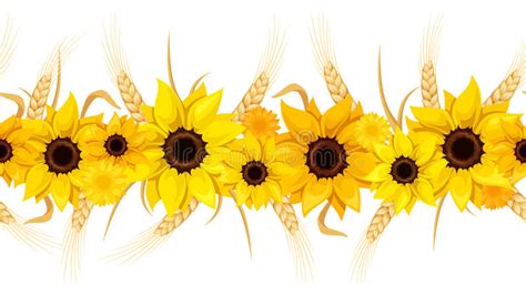 Horizontal Seamless Background With Sunflowers And Stock Vector